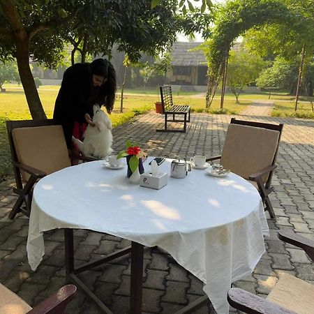 Lumbini Buddha Garden Resort Exteriér fotografie
