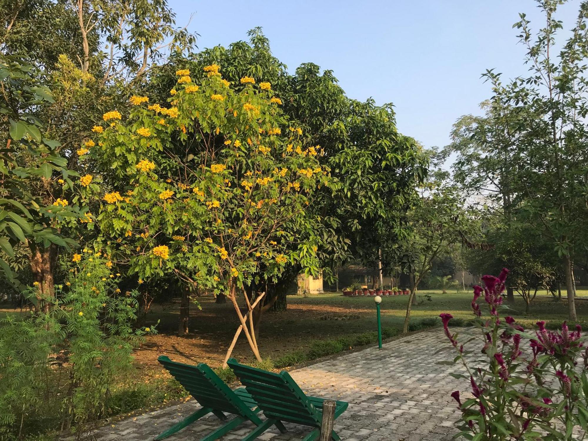 Lumbini Buddha Garden Resort Exteriér fotografie