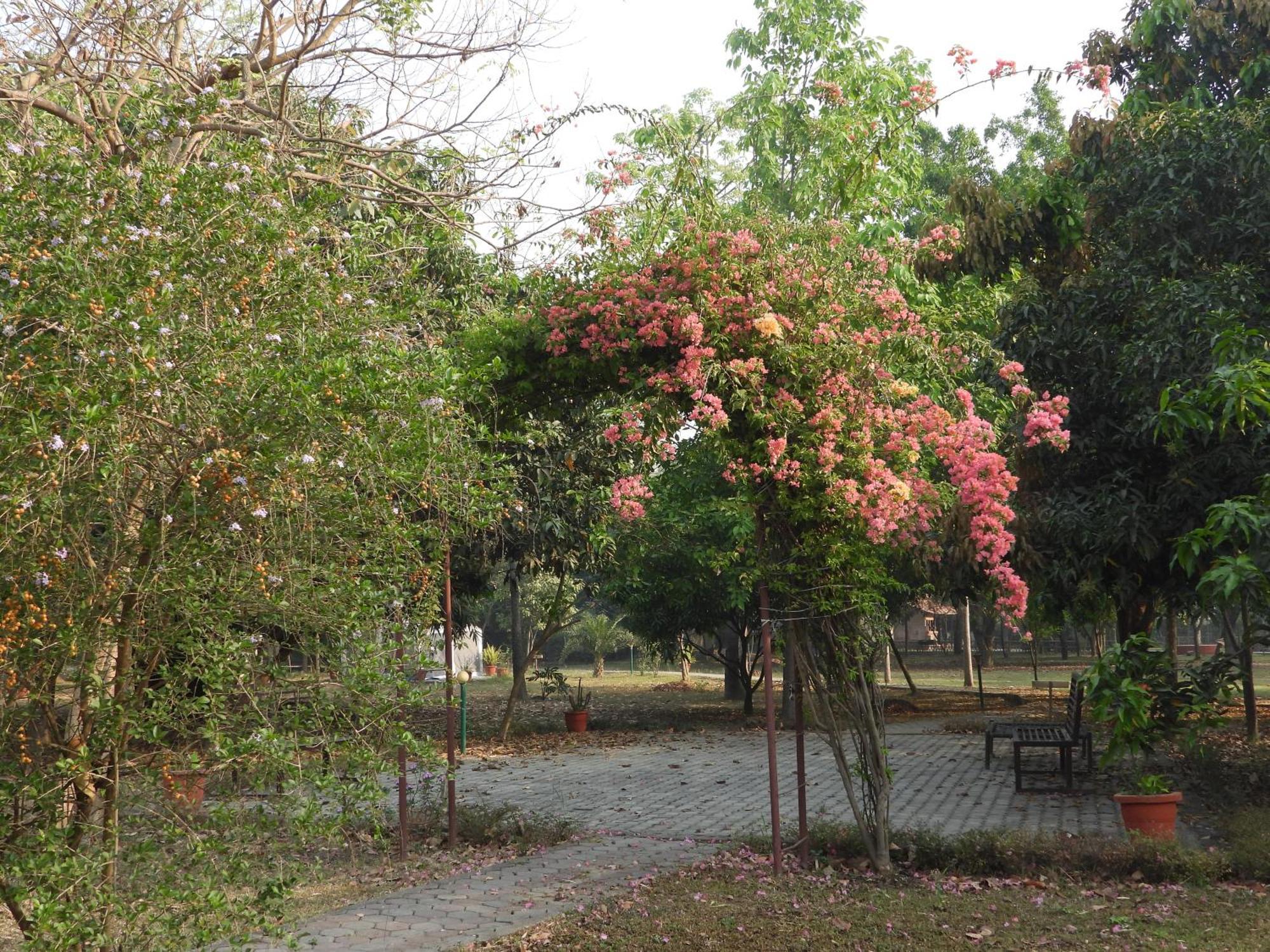 Lumbini Buddha Garden Resort Exteriér fotografie