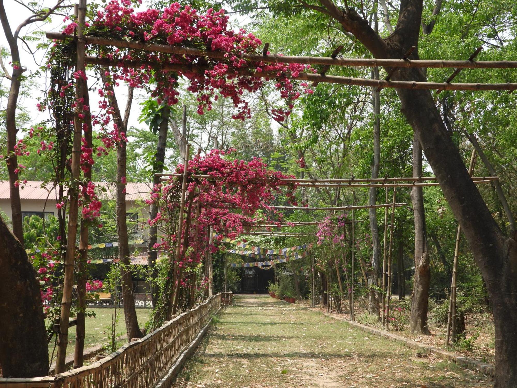 Lumbini Buddha Garden Resort Exteriér fotografie